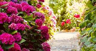 Eingang Garten Apfeltraum Eingang Garten Apfeltraum